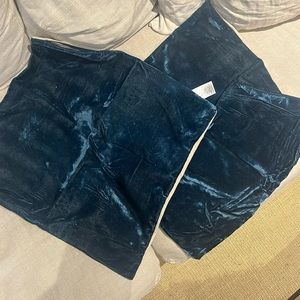 West Elm Blue Velvet Pillow Cases